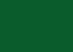 FOLHA EVA  40X48 C/10 VERDE ESCURO 034