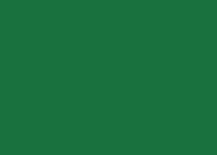 FOLHA EVA  40X48 C/10 VERDE BANDEIRA 042