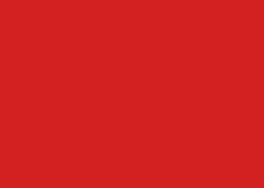 FOLHA EVA  40X48 C/10 VERMELHO 056