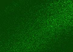 FOLHA EVA  40X48 GLITER C/5 VERDE ES 040