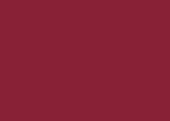 FOLHA EVA  40X60 C/10 VERMELHO ESC 001