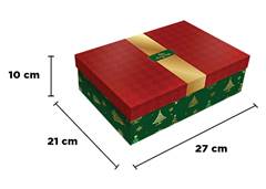 CAIXA C/TAMPA 27X21X10CM REGINA NATALINA