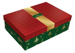 CAIXA C/TAMPA 27X21X10CM REGINA NATALINA