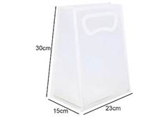 SACOLA PLANA FOSCA PP 30X23X15 C/ALCA