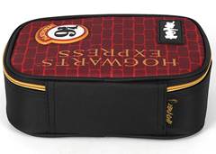 ESTOJO ESC LUXCEL HARRY POTTER VINHO 42284