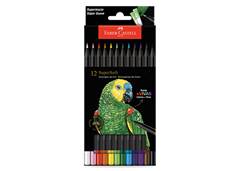 LAPIS COR FC ECOLAPIS C/12 CORES SM