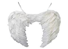 KIT ANJO ASA E PENA BRANCA