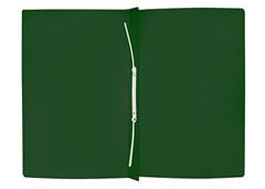 PASTA CLASSIFICADOR VERDE PP