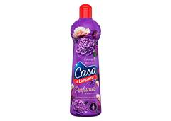 LIMPADOR PERFU CASA&PERFUME 500ML ENVOLV