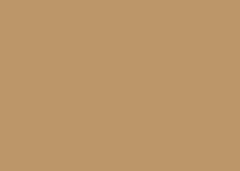 FOLHA EVA  40X48 C/10 MARRON CLARO 063