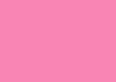 FOLHA EVA  40X48 C/10 ROSA 052