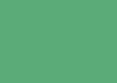 FOLHA EVA  40X48 C/10 VERDE 013