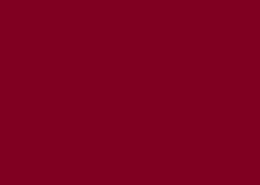 FOLHA EVA  40X48 C/10 VINHO 048