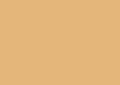FOLHA EVA  40X60 C/10 LARANJA CLARO 009