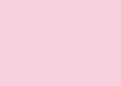 FOLHA EVA  40X60 C/10 ROSA PALIDO 070