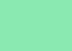 FOLHA EVA  40X60 C/10 VERDE CLARO 015