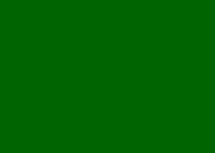 FOLHA EVA  40X60 C/10 VERDE ESCURO 034