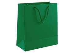 SACOLA PAPEL 22X24 150G VERDE C/10