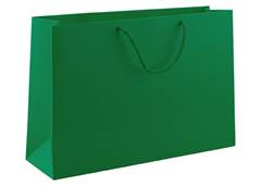 SACOLA PAPEL 36X24 150G VERDE C/10
