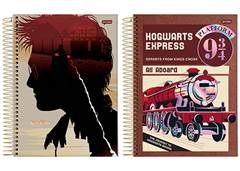 CAD.C.DURA HARRY POTTER 1X1 96F