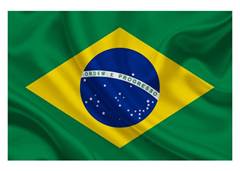 BANDEIRA P/CARRO S/HAS COPA 30X45 BB33