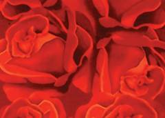 SACO METALIZADO 20X30 C/50 ROSA/VERMELHO
