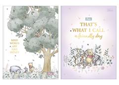 CAD.C.D BROCHURAO POOH 80F