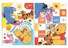 CAD.C.D BROCHURAO POOH 80F