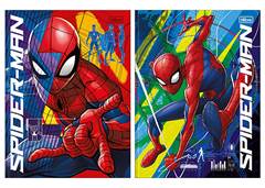 CAD.C.D BR 1/4 SPIDER MAN 80F