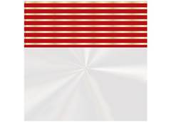 SACO TRANSP 45X59 C/25 INSP NATALINA 