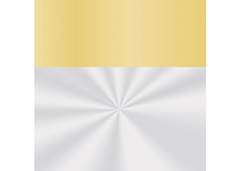 SACO TRANSP 45X59 C/25 METAL OURO BARR