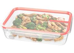 POTE C/TRAVA 1,6L SANRE PLAST SR1742/33