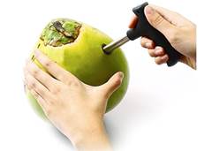 FURADOR DE COCO INOX YANGZI