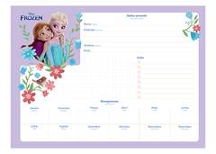 CAD.C.D CARTOGRAFIA FROZEN 80F
