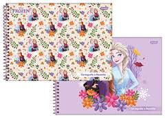 CAD.C.D CARTOGRAFIA FROZEN 80F