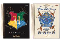 CAD.C.D ESP 1/4 HARRY POTTER 96F