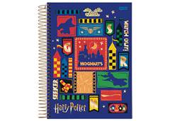 CAD.C.D ESP 1/4 HARRY POTTER 96F