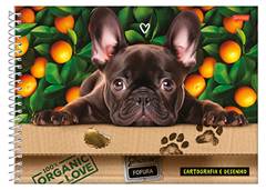 CAD.C.D CARTOGRAFIA PET 80F