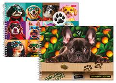 CAD.C.D CARTOGRAFIA PET 80F