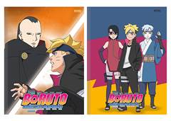 CAD.C.D BROCHURAO BORUTO 80F