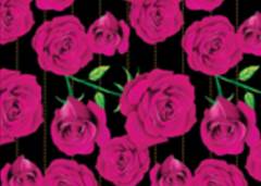 PAPEL PRESENTE VMP 50X60CM FEMNINA ROSAS