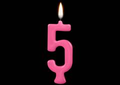 VELA PARABENS NUMERO 5 PINK C/1 REGINA