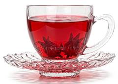 CONJ XIC C/PIRES VIDRO C/2 230MLPLASVALE