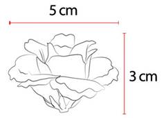 BOUQUET ROSA X9 31CM CREME OUTONO