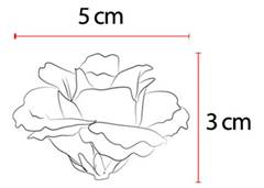 BOUQUET ROSA X9 31CM MARSALA OUTONO CHA