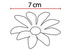 BOUQUET MARGARIDA X7 28CM AM OUTONO CREM